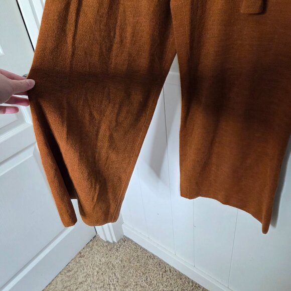 ANTHROPOLOGIE Linette Merino Wool Crop Wide Leg Brown Belted Pant - Picture 3 of 6